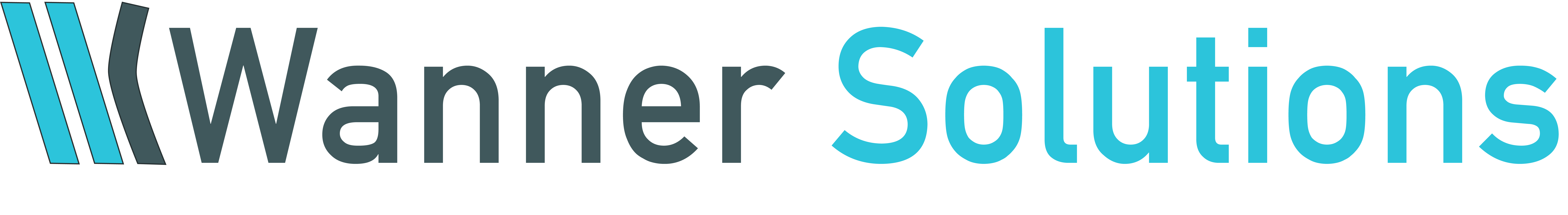 Wanner Solutions Logo